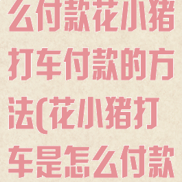 花小猪打车怎么付款花小猪打车付款的方法(花小猪打车是怎么付款)
