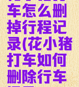 花小猪打车怎么删掉行程记录(花小猪打车如何删除行车记录)