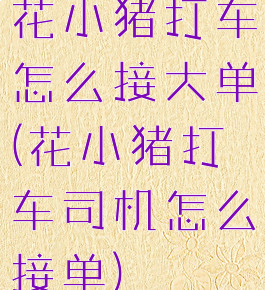 花小猪打车怎么接大单(花小猪打车司机怎么接单)