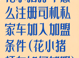花小猪打车怎么注册司机私家车加入加盟条件(花小猪打车如何加盟)