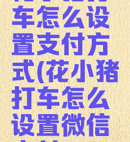 花小猪打车怎么设置支付方式(花小猪打车怎么设置微信支付)