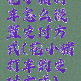 花小猪打车怎么设置支付方式(花小猪打车的支付方式)