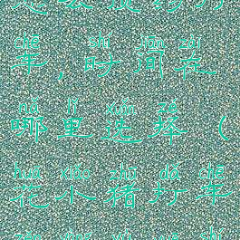 花小猪打车怎么预约打车,时间在哪里选择(花小猪打车怎样预约时间)