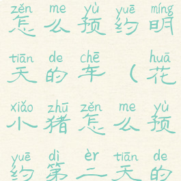 花小猪打车怎么预约明天的车(花小猪怎么预约第二天的车)