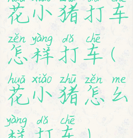 花小猪打车怎样打车(花小猪怎么样打车)