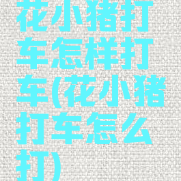 花小猪打车怎样打车(花小猪打车怎么打)