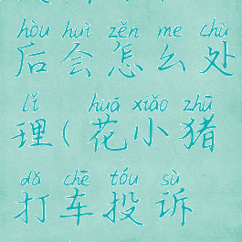 花小猪打车投诉司机以后会怎么处理(花小猪打车投诉电话多少?)