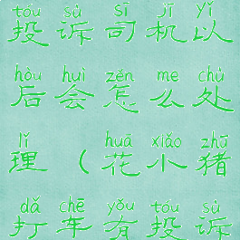 花小猪打车投诉司机以后会怎么处理(花小猪打车有投诉电话吗)