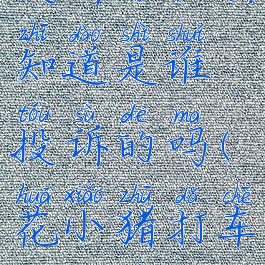 花小猪打车投诉司机会知道是谁投诉的吗(花小猪打车怎么投诉司机)