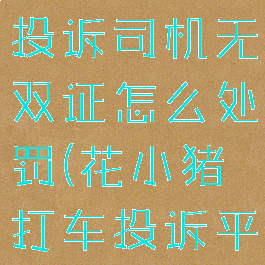 花小猪打车投诉司机无双证怎么处罚(花小猪打车投诉平台)