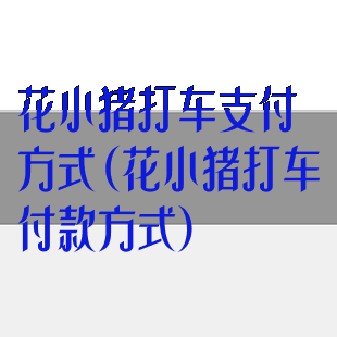 花小猪打车支付方式(花小猪打车付款方式)