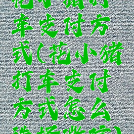 花小猪打车支付方式(花小猪打车支付方式怎么选择微信)