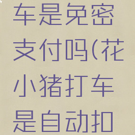 花小猪打车是免密支付吗(花小猪打车是自动扣费吗)