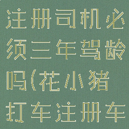 花小猪打车注册司机必须三年驾龄吗(花小猪打车注册车辆要求)