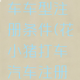 花小猪打车车型注册条件(花小猪打车汽车注册条件)