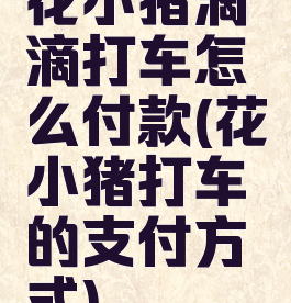 花小猪滴滴打车怎么付款(花小猪打车的支付方式)