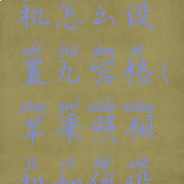 苹果照相机怎么设置九宫格(苹果照相机如何设置九宫格)