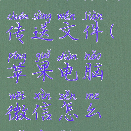 苹果电脑如何给微信传送文件(苹果电脑微信怎么转发聊天记录)