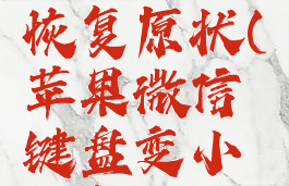 苹果微信键盘怎么恢复原状(苹果微信键盘变小了怎么恢复正常)