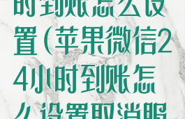 苹果微信24小时到账怎么设置(苹果微信24小时到账怎么设置取消服务)