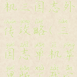 苹果手机单机三国志外传攻略(三国志单机苹果版下载安装)