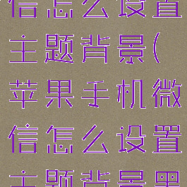 苹果手机微信怎么设置主题背景(苹果手机微信怎么设置主题背景黑色)