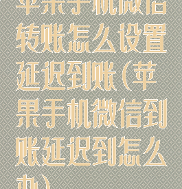 苹果手机微信转账怎么设置延迟到账(苹果手机微信到账延迟到怎么办)