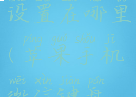 苹果手机微信键盘设置在哪里(苹果手机微信键盘设置在哪里设置)