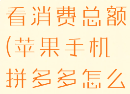 苹果手机拼多多怎么查看消费总额(苹果手机拼多多怎么看好友买过的记录)