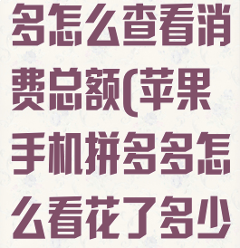 苹果手机拼多多怎么查看消费总额(苹果手机拼多多怎么看花了多少钱)