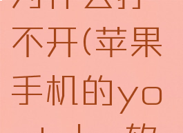 苹果手机youtube为什么打不开(苹果手机的youtube软件为什么用不成)