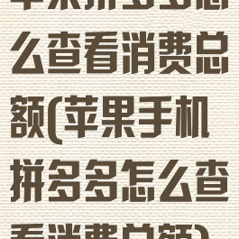 苹果拼多多怎么查看消费总额(苹果手机拼多多怎么查看消费总额)