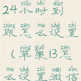 苹果13微信24小时到账怎么设置(苹果13怎么设置微信来电铃声)