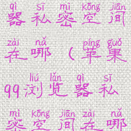 苹果qq浏览器私密空间在哪(苹果qq浏览器私密空间在哪里)