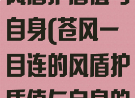 苍风一目连的风盾护盾值与自身(苍风一目连的风盾护盾值与自身的哪项属性相)