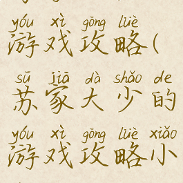 苏家大少的游戏攻略(苏家大少的游戏攻略小说)