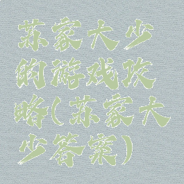 苏家大少的游戏攻略(苏家大少答案)