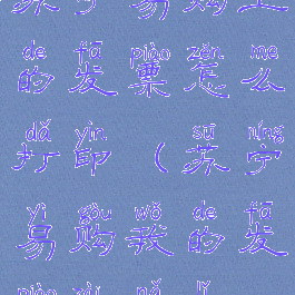 苏宁易购上的发票怎么打印(苏宁易购我的发票在哪里)