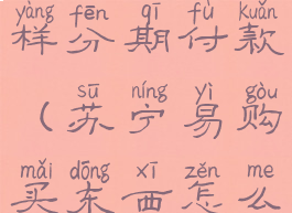 苏宁易购怎样分期付款(苏宁易购买东西怎么分期付款)