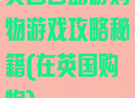 英国自助游购物游戏攻略秘籍(在英国购物)