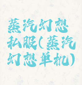 蒸汽幻想私服(蒸汽幻想单机)