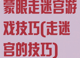 蒙眼走迷宫游戏技巧(走迷宫的技巧)