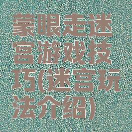 蒙眼走迷宫游戏技巧(迷宫玩法介绍)