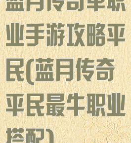 蓝月传奇单职业手游攻略平民(蓝月传奇平民最牛职业搭配)
