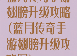 蓝月传奇手游翅膀升级攻略(蓝月传奇手游翅膀升级攻略图)