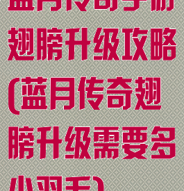 蓝月传奇手游翅膀升级攻略(蓝月传奇翅膀升级需要多少羽毛)