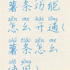 薯条功能怎么开通(薯条怎么使用)