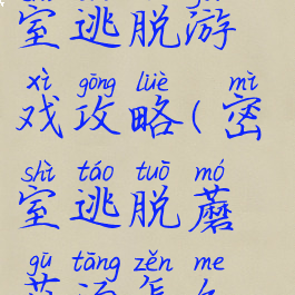 蘑菇屋之密室逃脱游戏攻略(密室逃脱蘑菇汤怎么做)