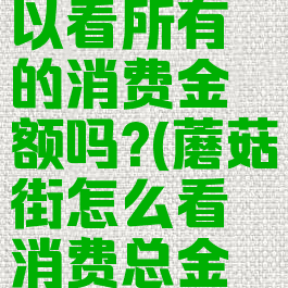 蘑菇街可以看所有的消费金额吗?(蘑菇街怎么看消费总金额)