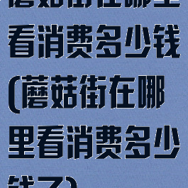 蘑菇街在哪里看消费多少钱(蘑菇街在哪里看消费多少钱了)